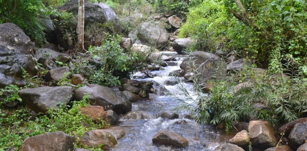 Stream garden