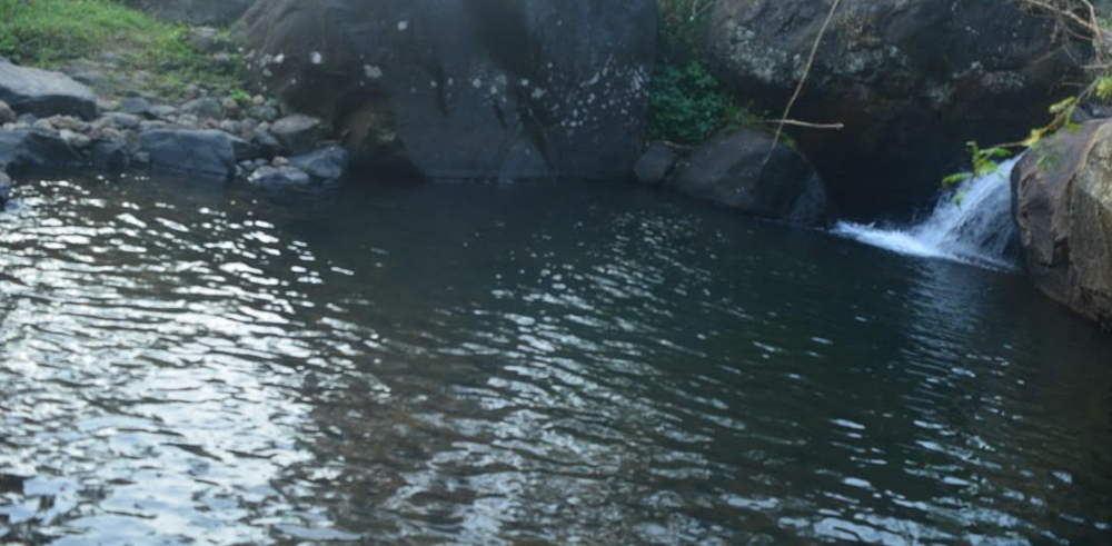 Stream garden